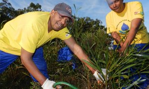 Fire and invasive plant management highlighted
